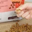 Thức ăn hạt mềm ANF SOFT cho chó