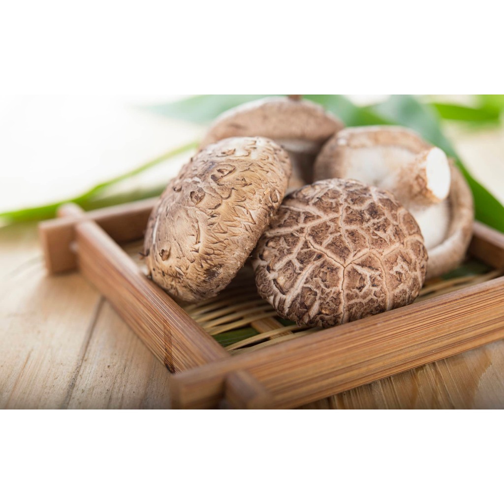 500GR Nấm Đông Cô NHẬT BẢN Khô ( Nấm To, Trắng, Hàng Thượng Hạng ) Thơm Ngon, Giàu Dinh Dưỡng