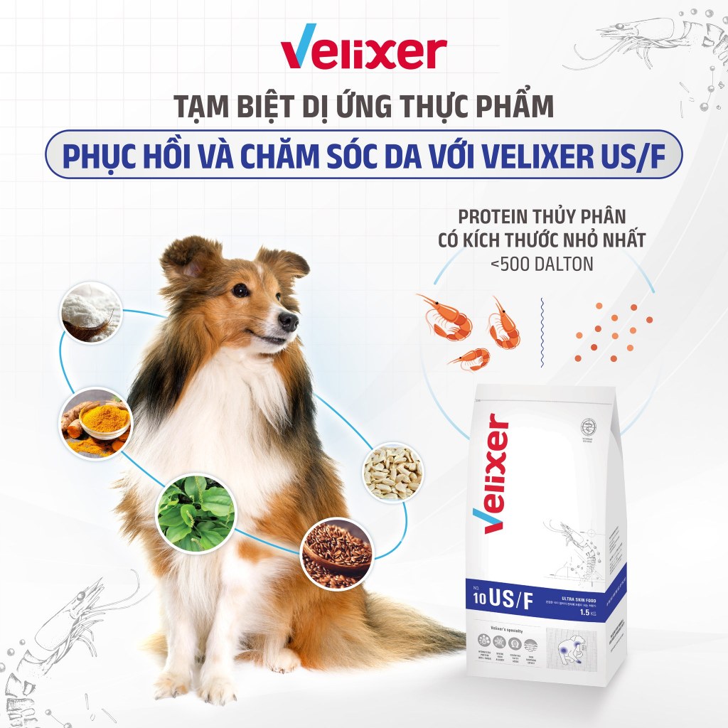 [1.5KG] VELIXER - Thức ăn hạt cho chó hỗ trợ trị liệu với công thức dinh dưỡng chuyên biệt
