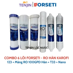Combo 6 Lõi Lọc Nước FORSETI Gồm 123 + Màng RO 100GPD Membrane Hàn/ Màng RO 100GPD Purifim Mỹ + Carbon T33, Nano Silver