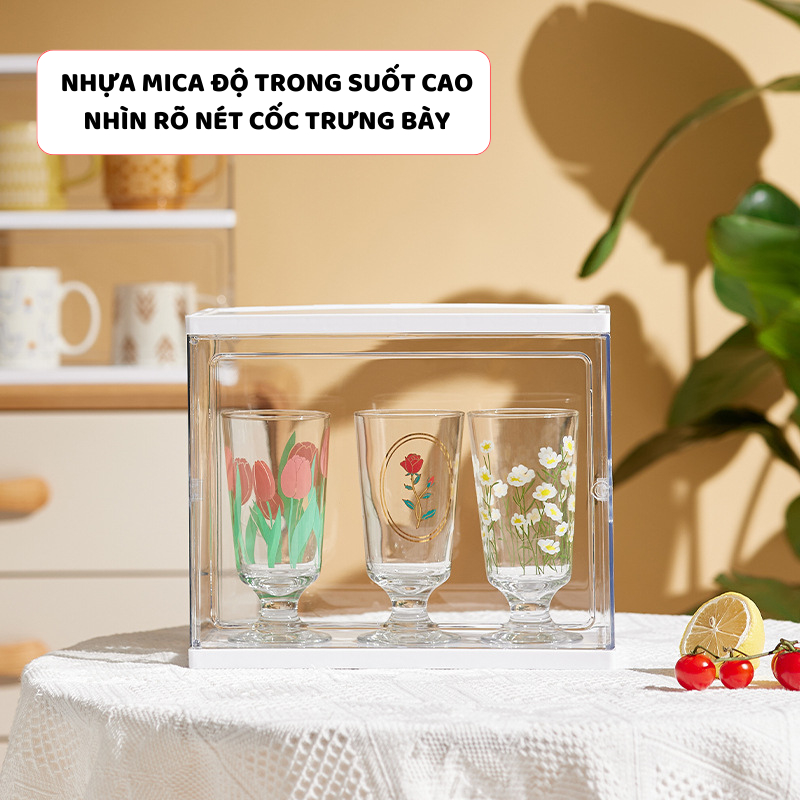 Hộp Đựng Cốc ENODA HOME, Hộp Bảo Quản Trưng Bày Cốc Chén Để Bàn, Để Tủ Cao Cấp HTS001