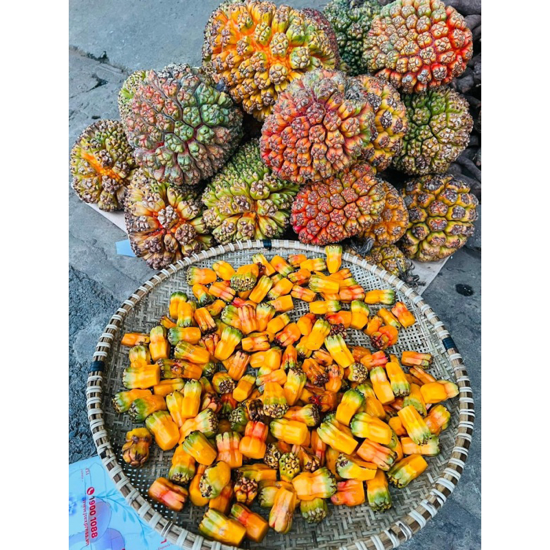 Quả Dứa Dại Rừng Xanh Tươi 1kg(  To đẹp-hút chân không)