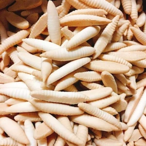 Bánh men sữa hình con sâu giòn ít ngọt.