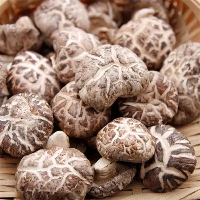 500GR Nấm Đông Cô NHẬT BẢN Khô ( Nấm To, Trắng, Hàng Thượng Hạng ) Thơm Ngon, Giàu Dinh Dưỡng