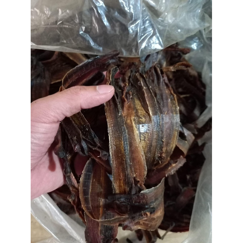 250GR Địa Long Sấy Khô ( To, Sạch, Đẹp ) Hàng Loại 1