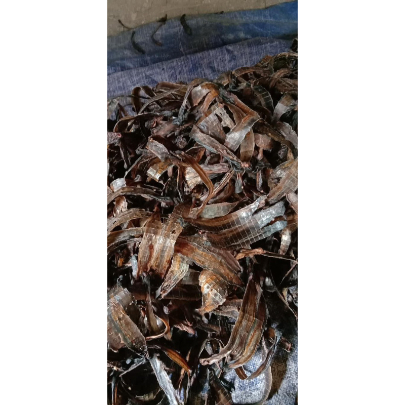 250GR Địa Long Sấy Khô ( To, Sạch, Đẹp ) Hàng Loại 1