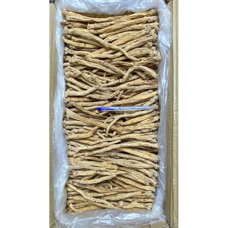 250GR Phòng Đẳng Sâm ( Khô, Đẹp ) Hàng Loại 1