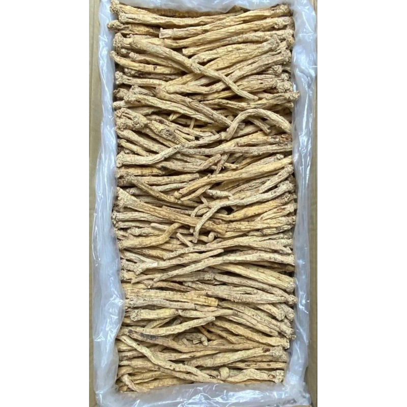 250GR Phòng Đẳng Sâm ( Khô, Đẹp ) Hàng Loại 1