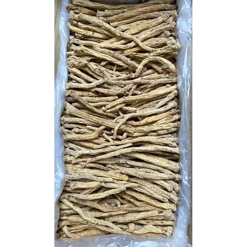 250GR Phòng Đẳng Sâm ( Khô, Đẹp ) Hàng Loại 1