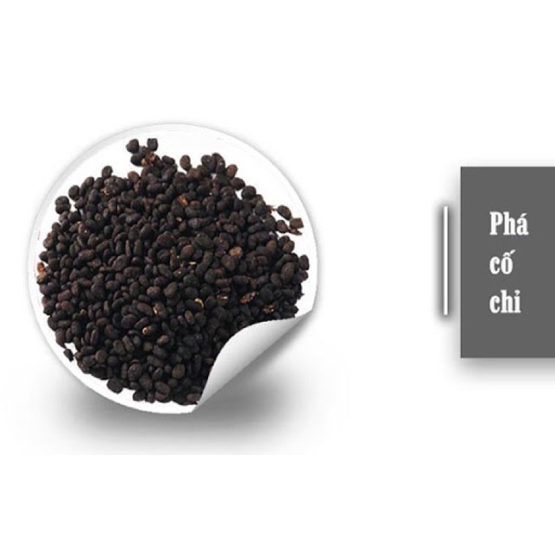 500GR Phá Cố Chỉ ( Bổ Cốt Chỉ ) Khô Hàng Loại 1