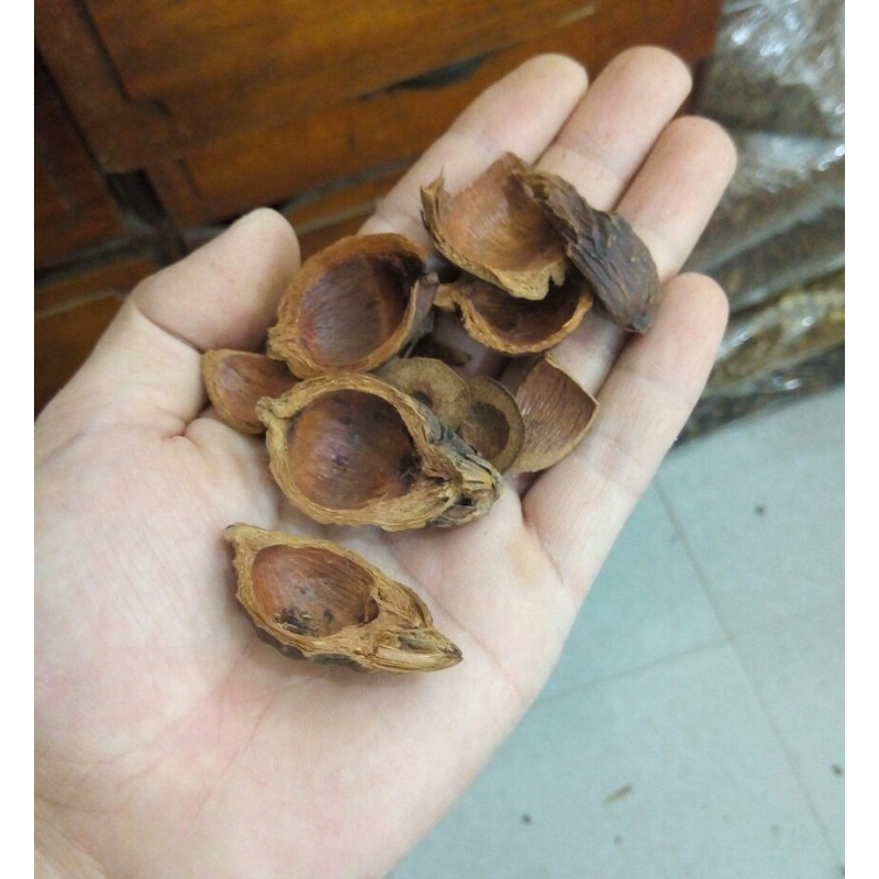 500GR Vỏ Cau Khô ( Đại Phúc Bì ) Hàng Loại 1