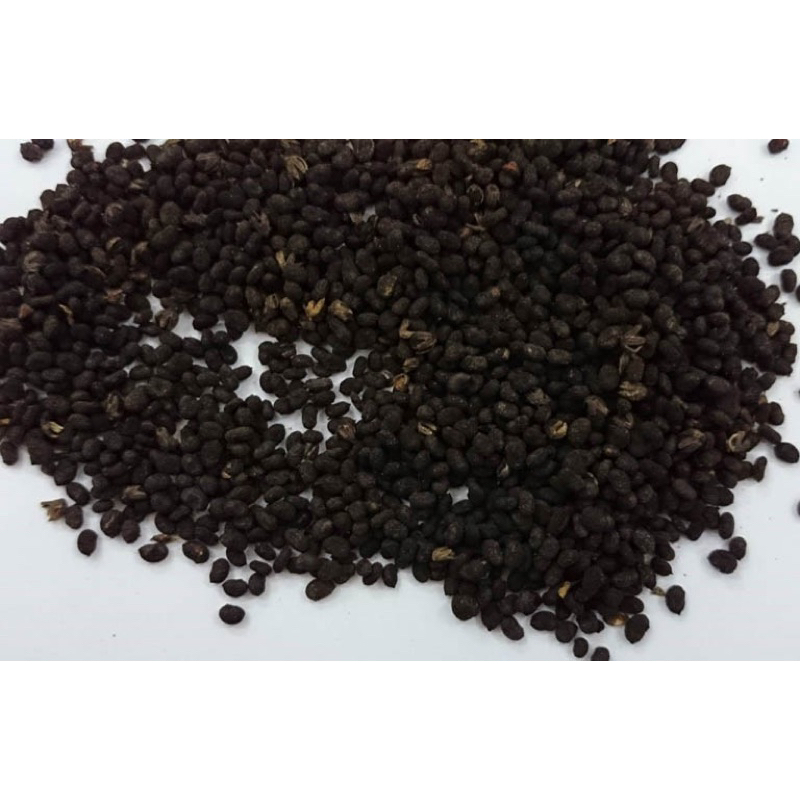 500GR Phá Cố Chỉ ( Bổ Cốt Chỉ ) Khô Hàng Loại 1