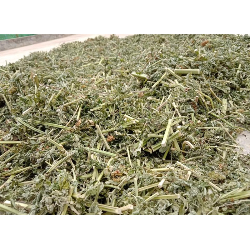 Ích Mẫu ( Khô, Sạch ) Hàng Loại 1
