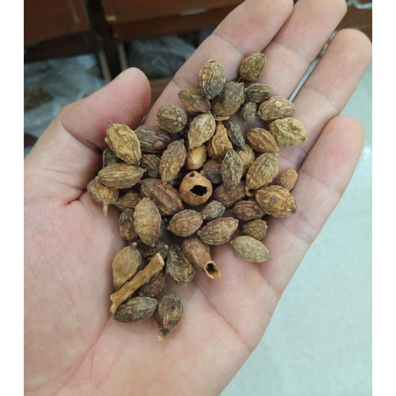 Ích Trí Nhân ( Khô, Đẹp ) Hàng Loại 1