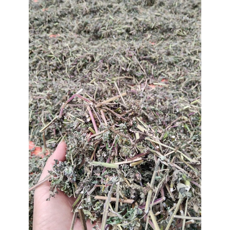 Ích Mẫu ( Khô, Sạch ) Hàng Loại 1