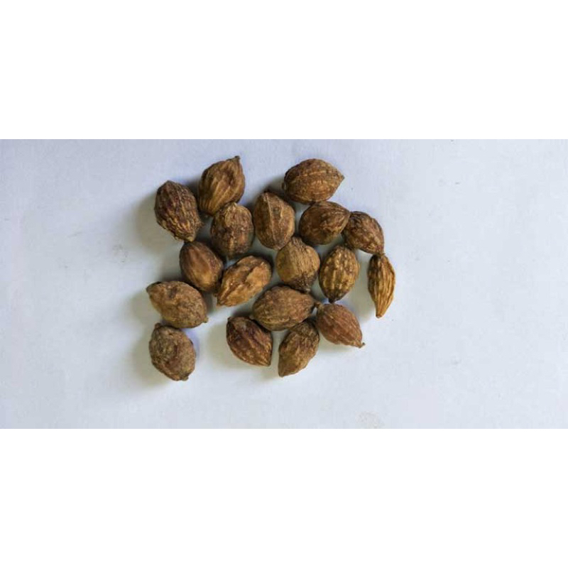 Ích Trí Nhân ( Khô, Đẹp ) Hàng Loại 1