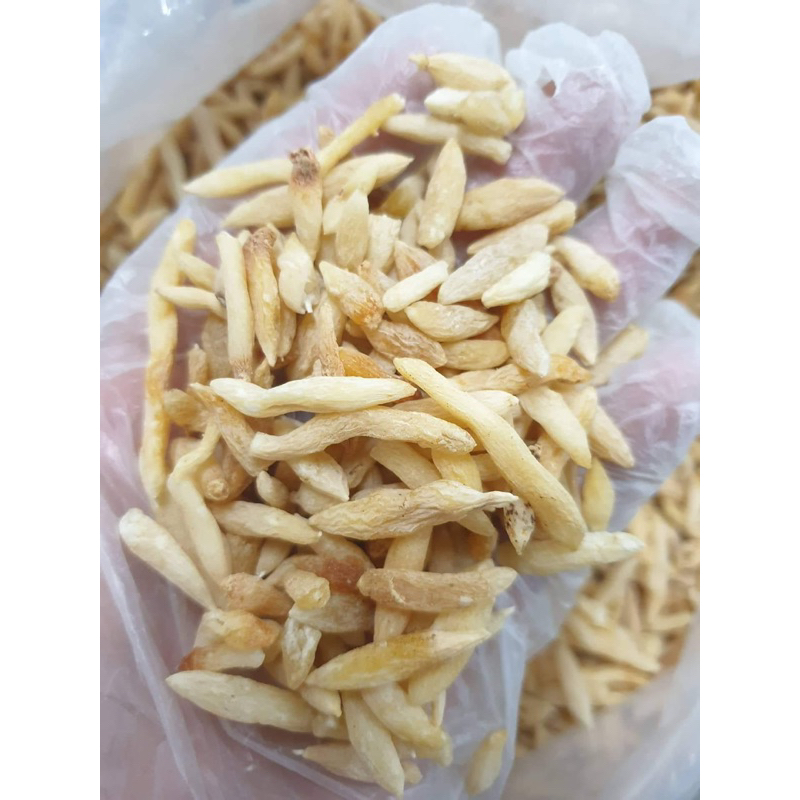 Mạch Môn Bắc ( Mạch Môn Đông ) Hàng To, Khô, Sạch, Đẹp Loại 1