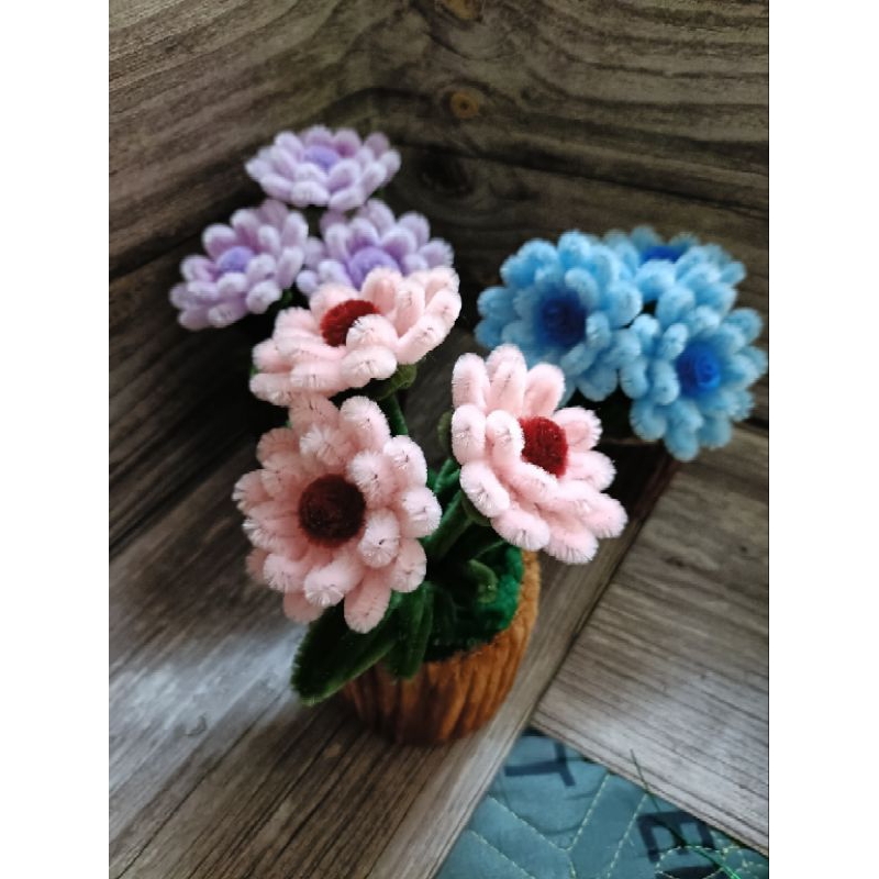 Chậu Hoa Tigon Kẽm Nhung Decor, Quà Tặng Xinh Xắn
