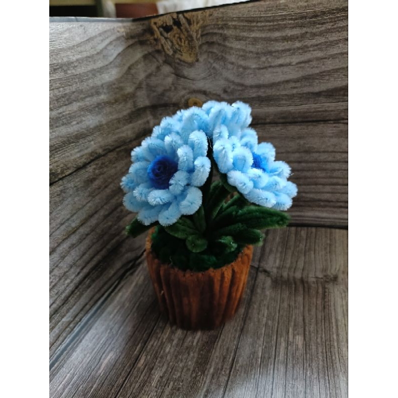 Chậu Hoa Tigon Kẽm Nhung Decor, Quà Tặng Xinh Xắn