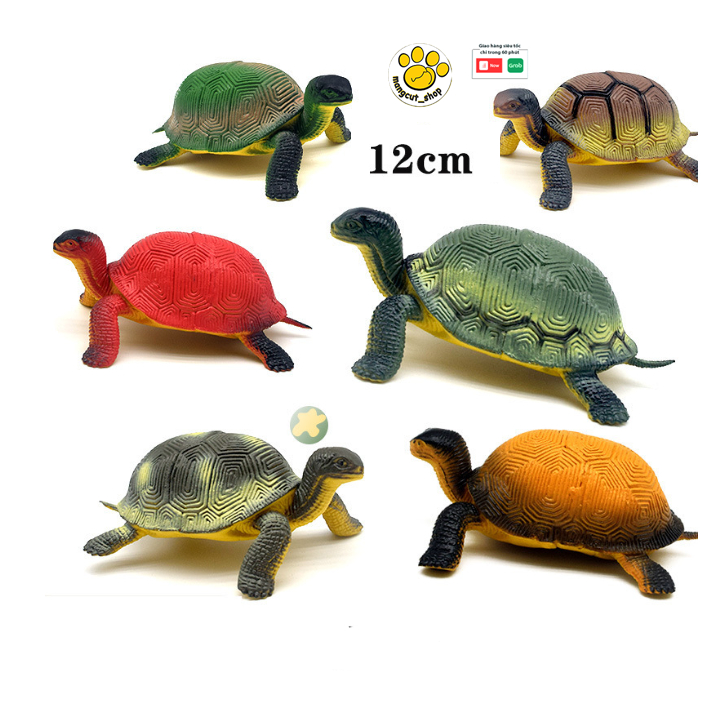 Mô hình đồ chơi con rùa 12cm vui nhộn cho bé, rùa đồ chowidf | Shopee ...