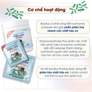 [500gr] Men khử khuẩn, khử mùi cát vệ sinh Bioline BS1 Ecoet cao cấp