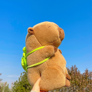 𝐌𝐢𝐧𝐢𝐬𝐨 𝐧𝐡𝐚̣̂𝐩 𝐤𝐡𝐚̂̉𝐮🔥Gấu mền - Gấu chăn văn phòng Capybara rùa dễ thương🔥