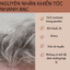 Trà Mọc Tóc, Đen Tóc - Bội Lan Đường - Giúp Cải Thiện Tóc Bạc Sớm, Rụng Tóc, Hói Đầu, Mọc Tóc - túi 50 lọc