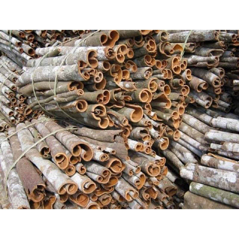 Vỏ Quế Khô Dùng Làm Gia Vị, Khử Mùi, Xông Thảo Mộc