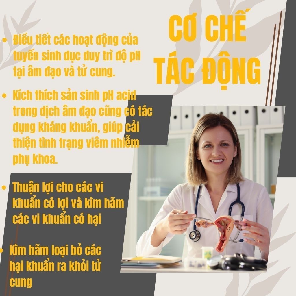 Túi Lọc Thảo Dược Xông Rửa Phụ Khoa -Bội Lan Đường- Vệ Sinh, Giảm Ngứa, Khử Mùi. Chống Khí Hư, Làm Hồng Se Khít 20 Bich