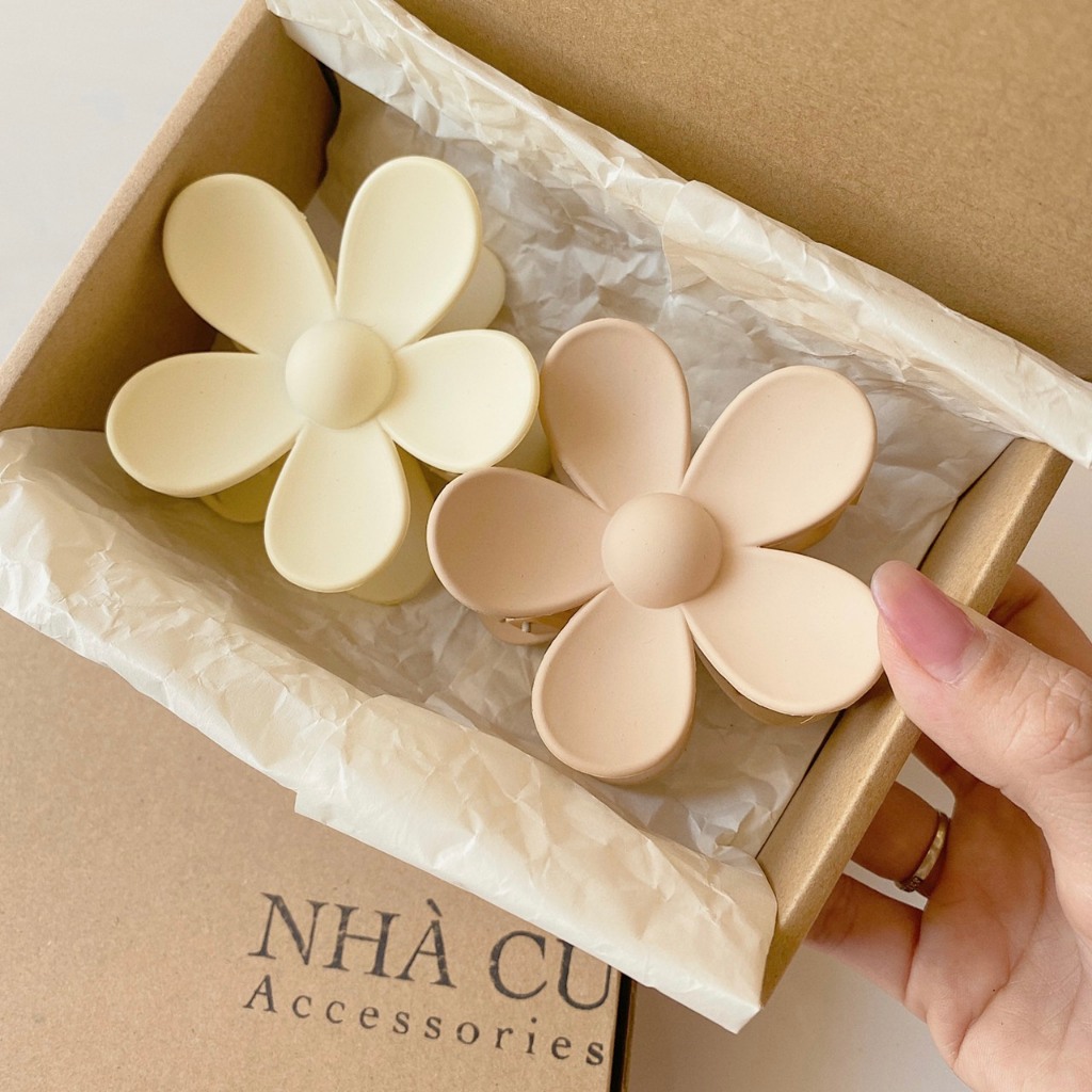 Hộp #23