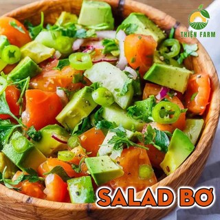 Cây Bơ 034 THIỆN FARM 70cm thịt dẻo vàng, vị béo bùi, ăn tươi, làm sinh tố, trồng chậu, thùng xốp