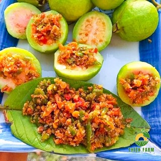 Cây Ổi Sẻ Lá Kim THIỆN FARM 60cm, vị chua ngọt, dễ đậu trái, trái quanh năm, trồng chậu, thùng xốp