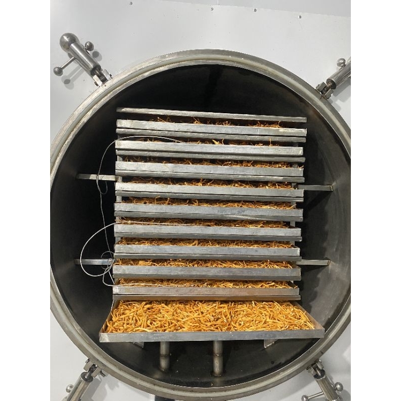 Đông Trùng Hạ Thảo An Thịnh Sấy Thăng Hoa Hộp 10 Gram
