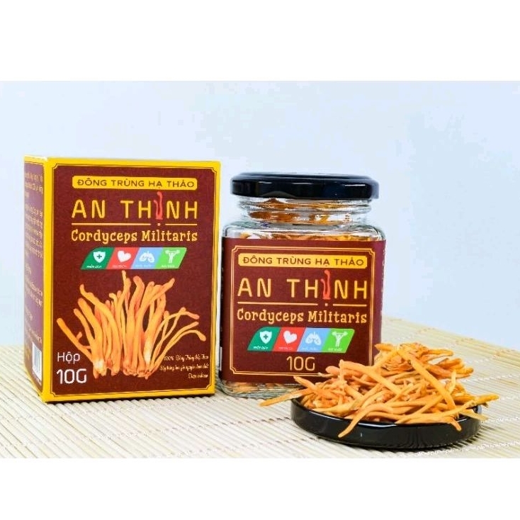 Đông Trùng Hạ Thảo An Thịnh Sấy Thăng Hoa Hộp 10 Gram