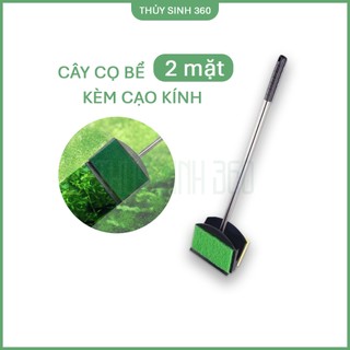 Cây Cọ Bể 2 Mặt - Kèm Lưỡi Cạo Kính - Dụng Cụ Vệ Sinh Bể Cá Cảnh