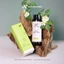 Nước tắm tràm thiên nhiên 200ml | Bảo vệ da - Ngăn ngừa rôm sảy, hăm da, viêm da cho bé