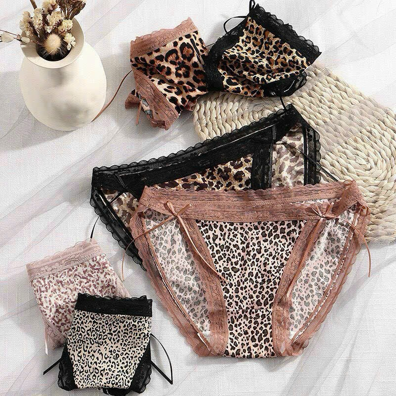 Sét 5 Quần lót su báo viền ren đính nơ 2 bên mẫu mới 🌸