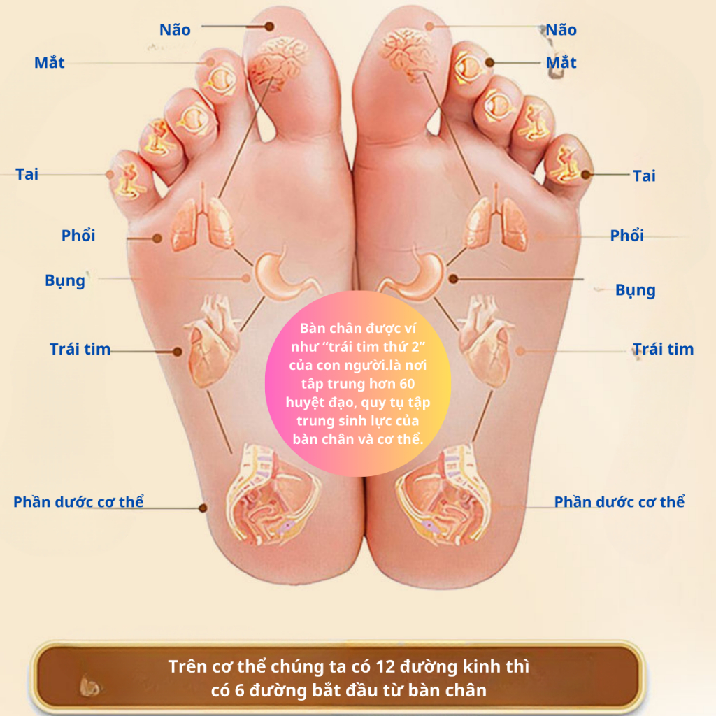 Hộp 50 miếng dán ngãi cứu thải độc cho bàn chân QA HAPPYLIFE giúp thải độc lưu thông tuần hoàn máu