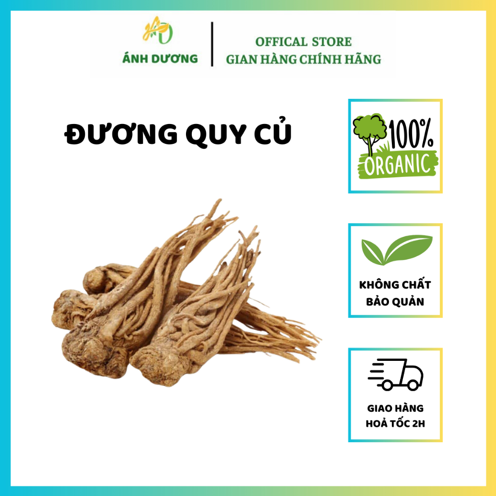 Đương Quy Củ Khô, Nguyên Củ Vàng To Hàng Loại 1
