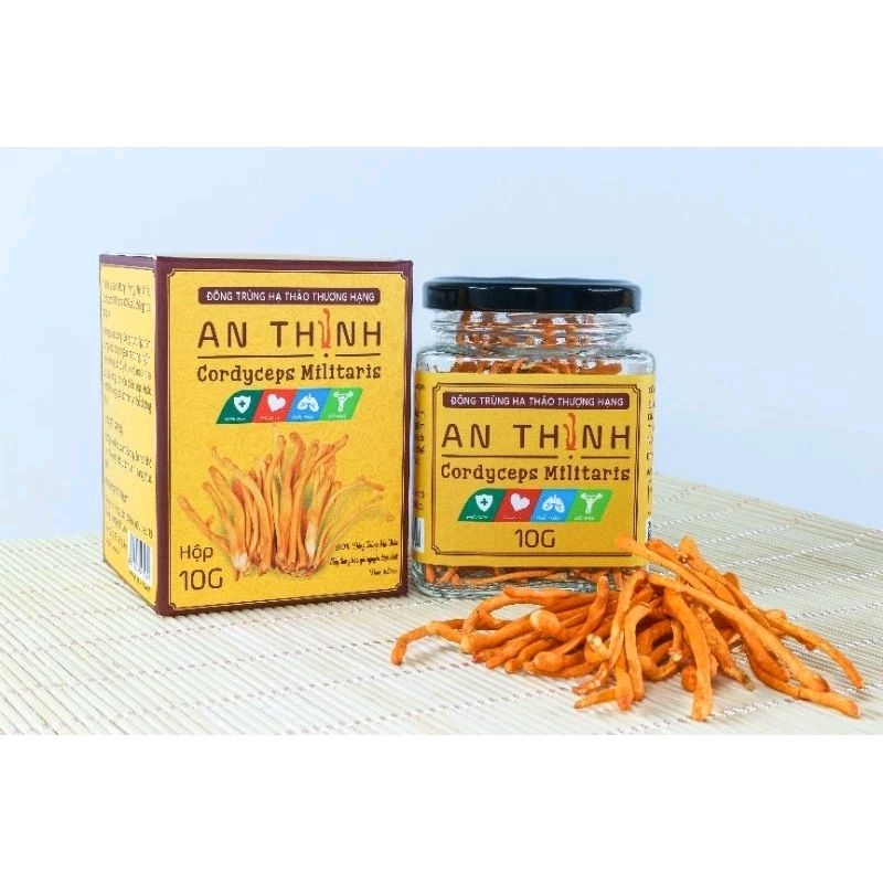 Đông Trùng Hạ Thảo Khô An Thịnh Thượng Hạng Hộp 10 gram