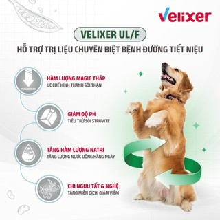VELIXER -Thức ăn hỗ trợ trị liệu các bệnh cho chó nhập khẩu Hàn Quốc 1,5kg