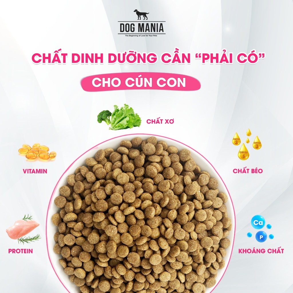 [2.4KG] DOG MANIA - Thức ăn hạt cho chó nhập khẩu Hàn Quốc