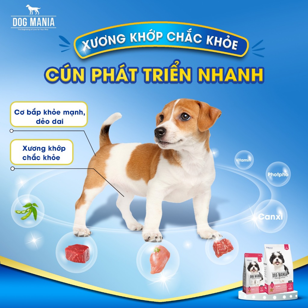 [2.4KG] DOG MANIA - Thức ăn hạt cho chó nhập khẩu Hàn Quốc