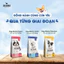 DOG MANIA - Thức ăn hạt cho chó nhập khẩu Hàn Quốc