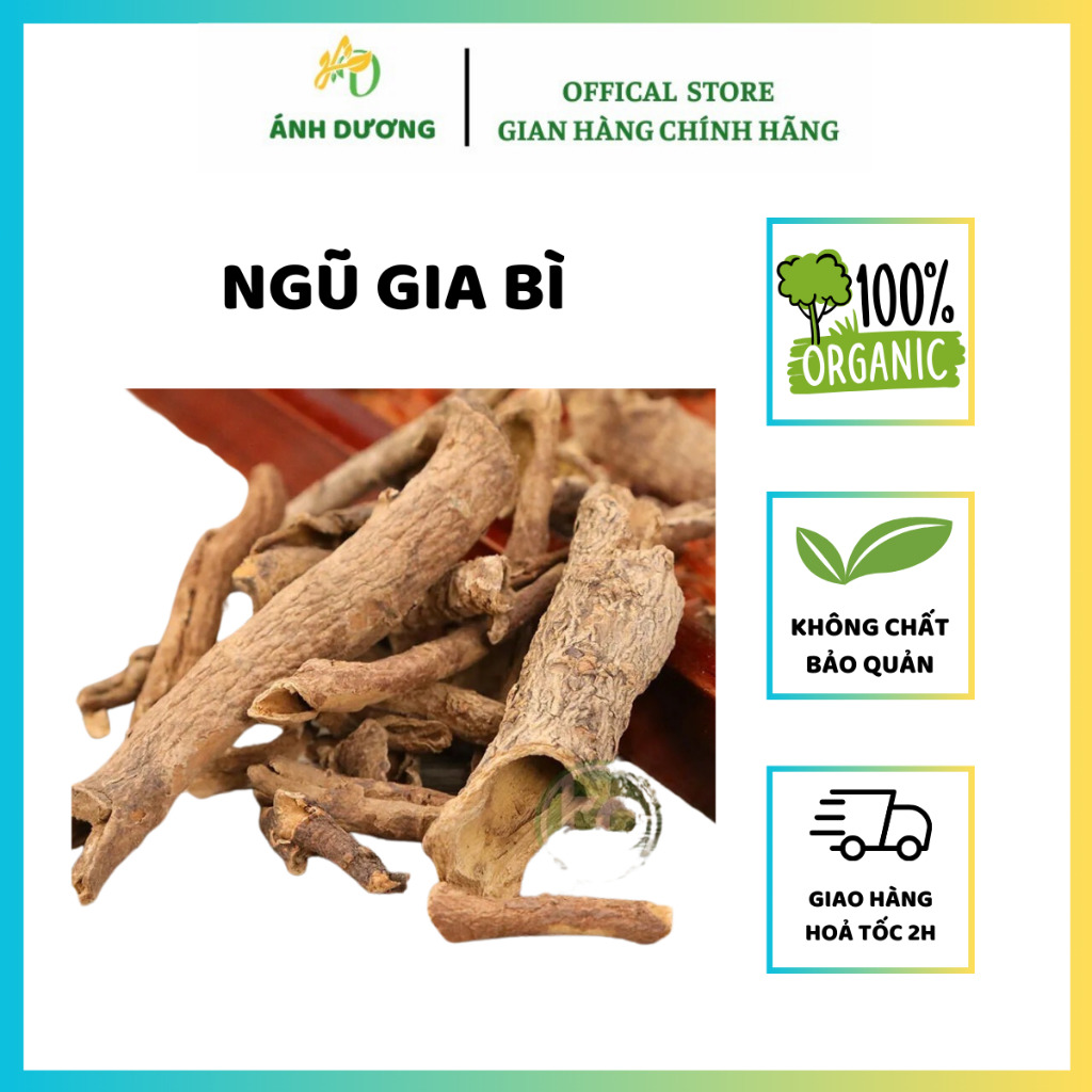 Ngũ Gia Bì, Xuyên Gia Bì Khô, Đẹp Hàng Loại 1
