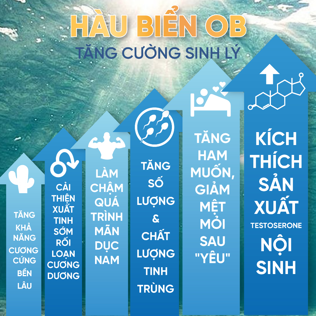 Ảnh Viên Uống Bổ Thận Hàu Biển Tăng Sinh Lý Nam Hỗ Trợ Sức Khỏe Nam Giới Oyster (Hộp 30v) 4
