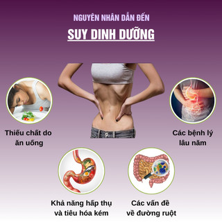 [Gầy đét] Trà bổ tỳ vị tăng cân Fengcha cho người cơ địa khó tăng cân, luôn mệt mỏi bịch 30 gói lọc