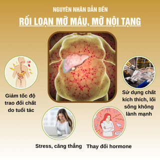 [Hạ mỡ máu] Trà hạ mỡ máu cholesterol, giảm mỡ nội tạng Fengcha đào thải ra ngoài toàn bộ mô mỡ xấu trong ngũ tạng
