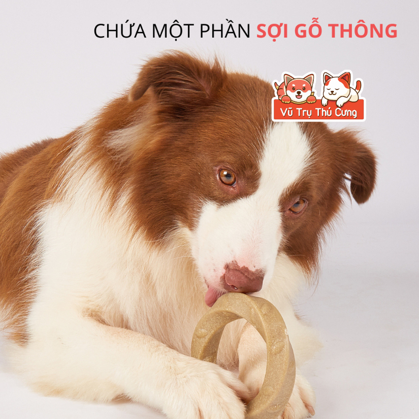 Đồ Chơi Nhai Gặm Cho Chó Bằng Sợi Gỗ Thông FOFOS