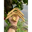 Cầu góc tre đẹp chào mào ( đặc biệt chọn combo đc tặng gim + rọ)